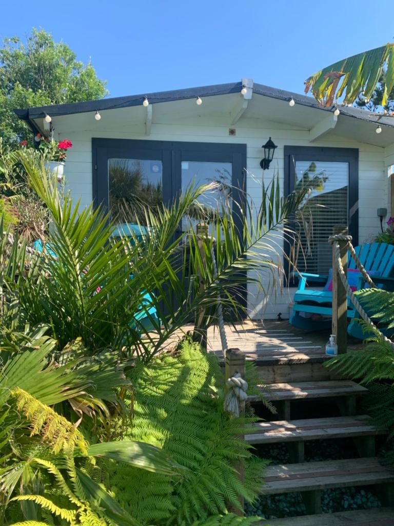 Stargazy Garden (Hayle)