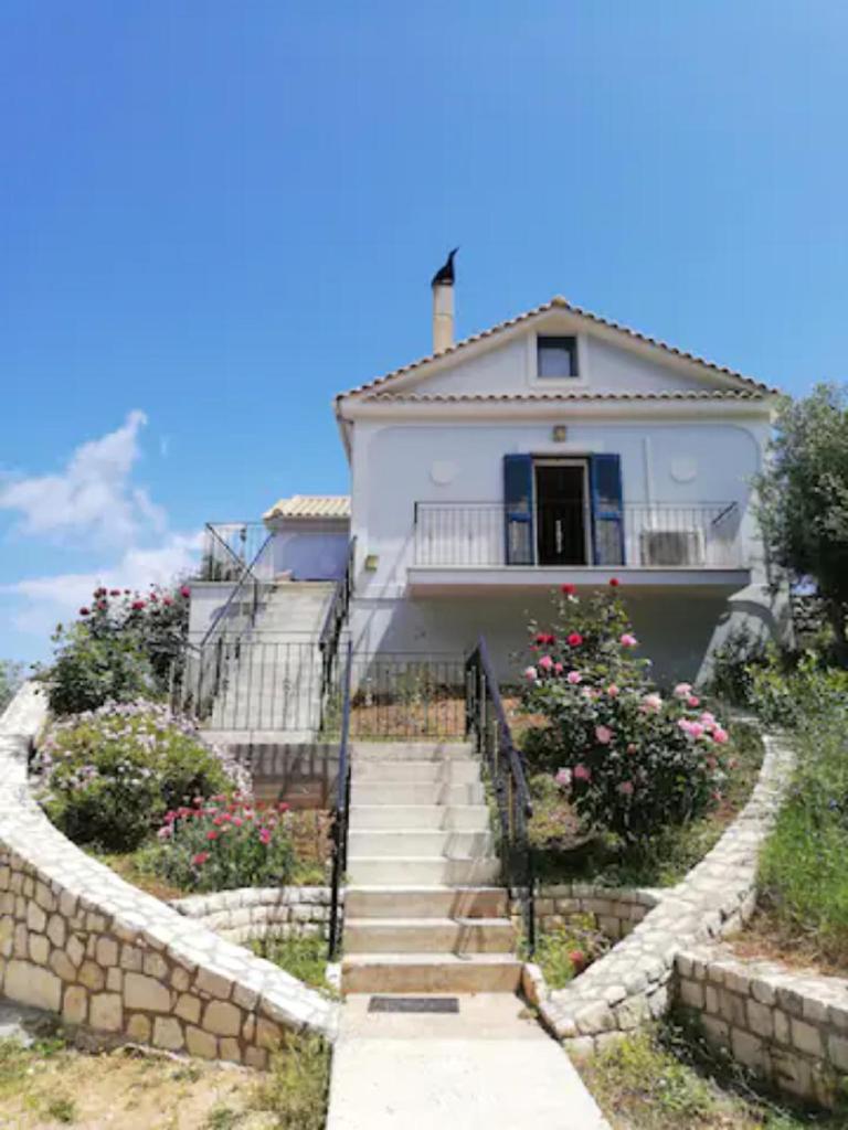 OliveTree House