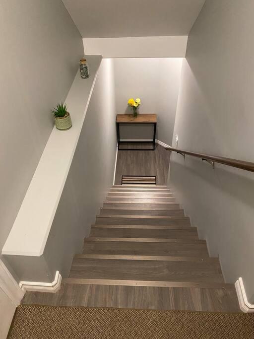 1 Bedroom Modern Secondary Suite