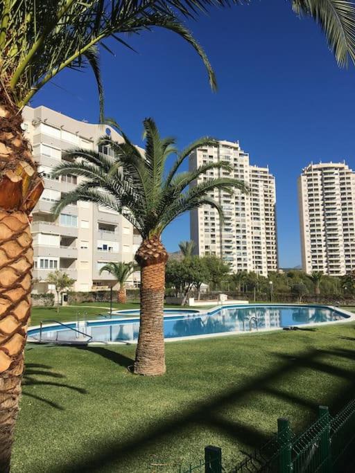 Tu apartamento en la playa