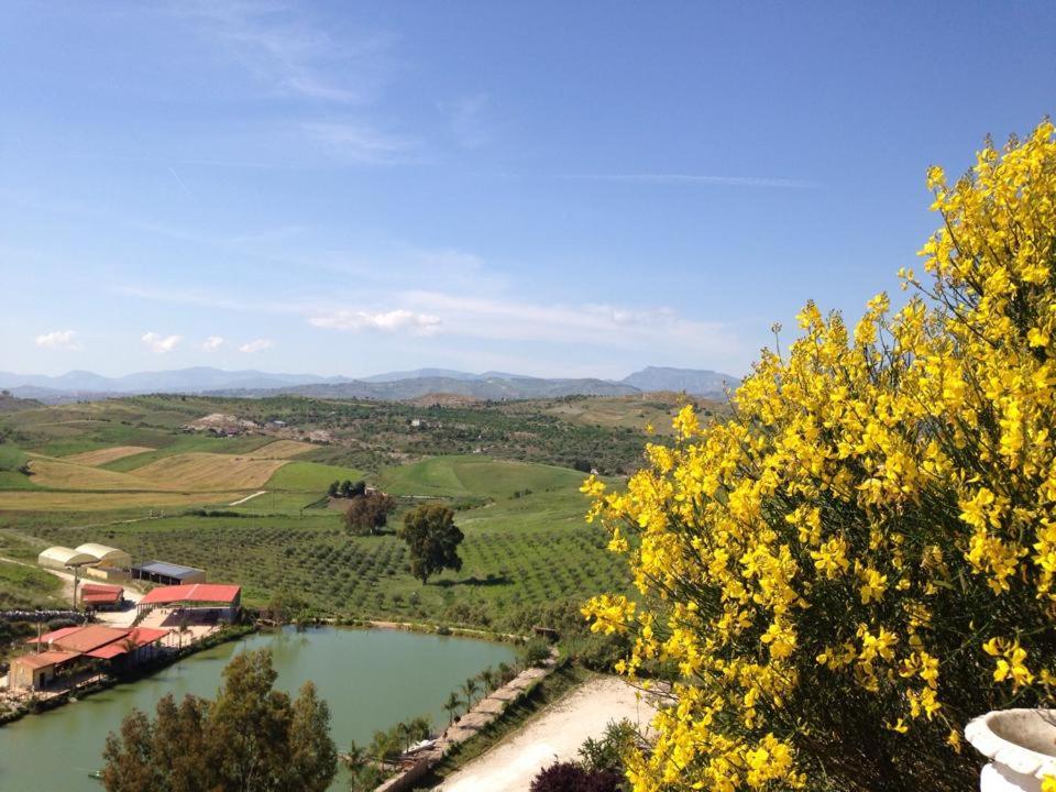 Ciuci's Manor (Aragona)
