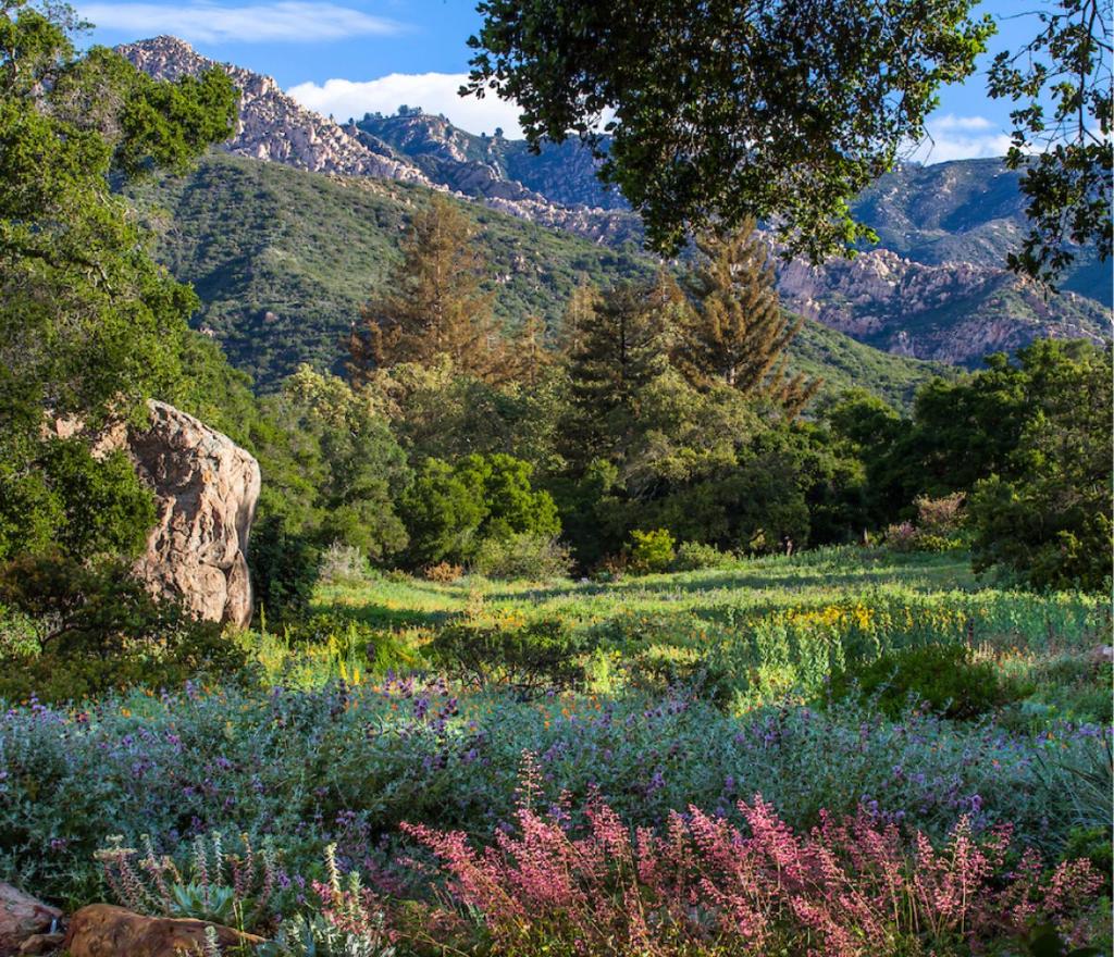 Santa Barbara Botanical Cabin