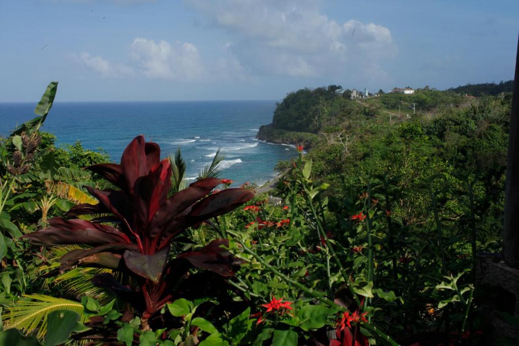 I VIEW - in Long Bay