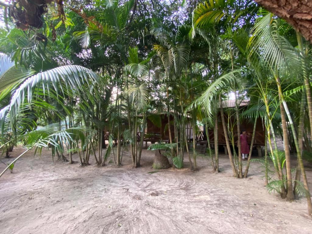 Hidden Garden Palolem